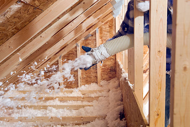 Best Reflective Insulation  in Garden City, MI